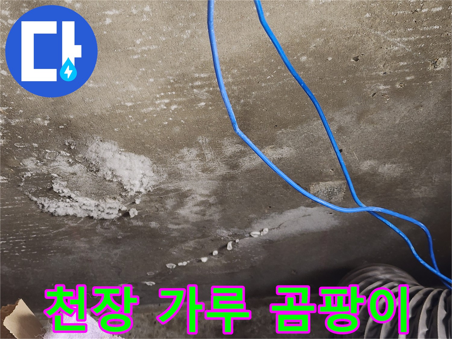 기흥구 보정동 콘크리트 천장 - 하얀 가루와 곰팡이 냄새 - 누수 의심