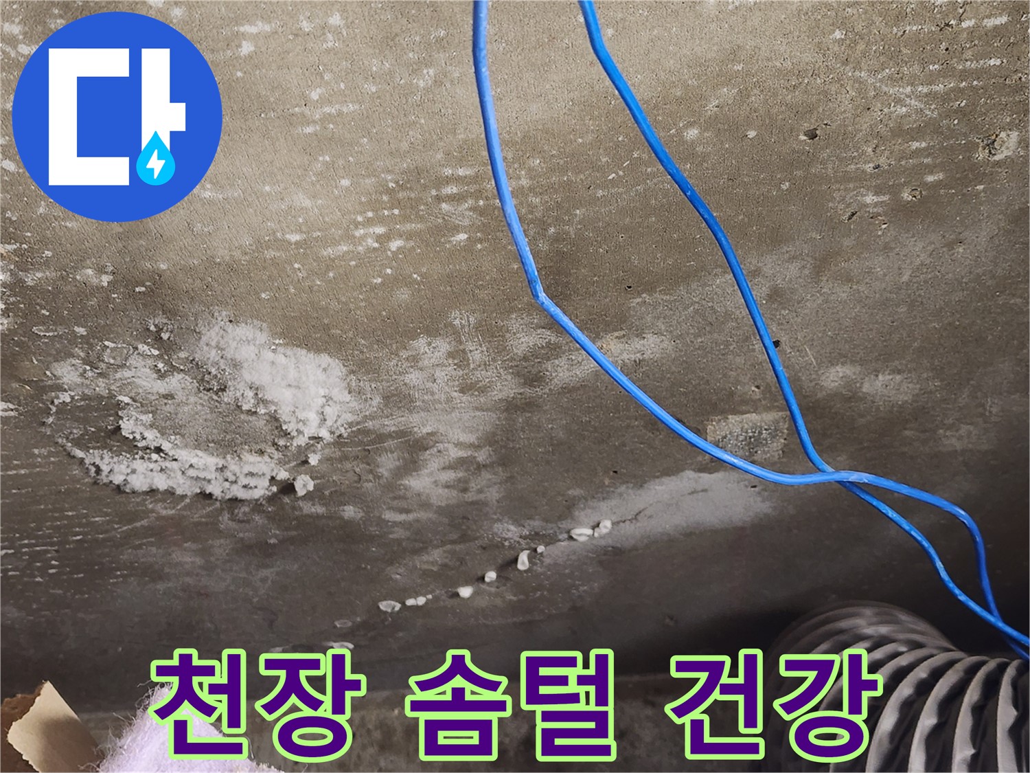 용인 콘크리트 천장 - 솜털 곰팡이 - 건강 위협 차단