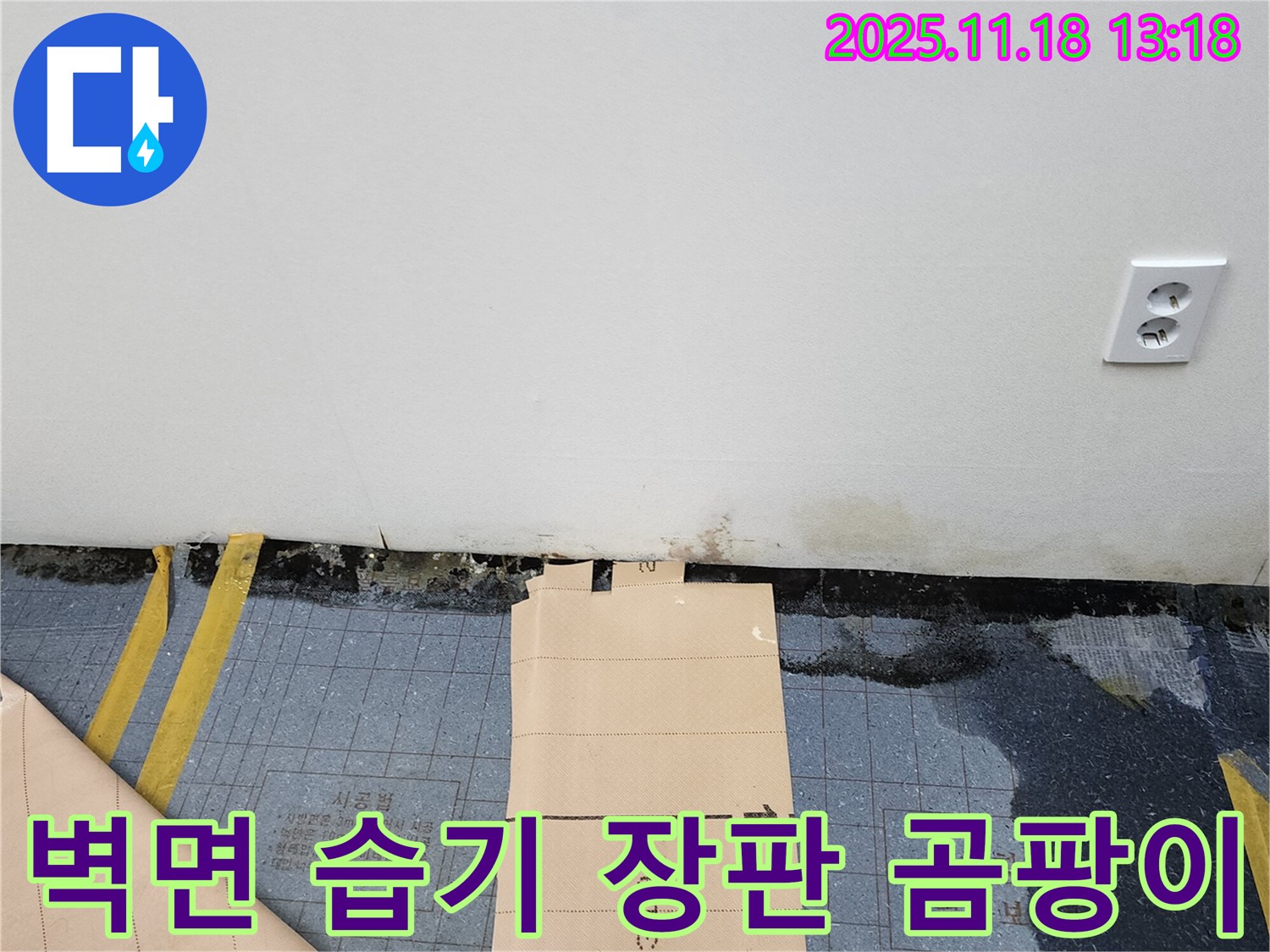 진목리 누수 - 벽면 하단 습기 및 장판 밑 곰팡이 제거 시공 후기