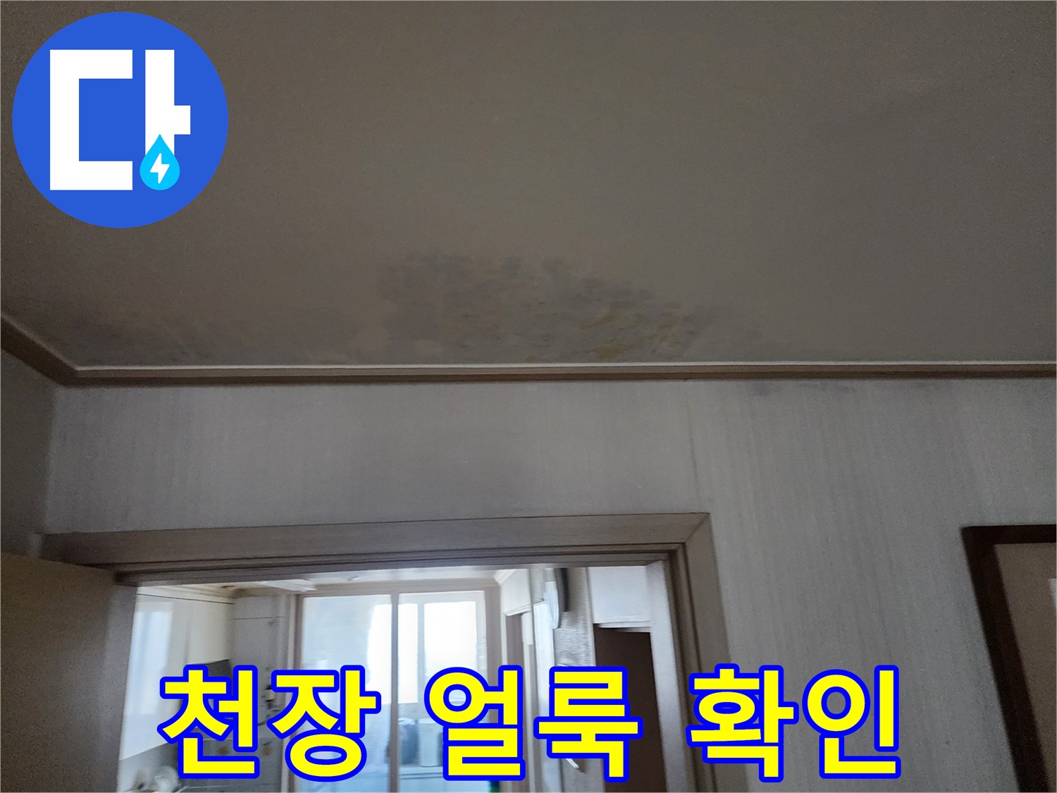 광명 철산동 두산위브 아파트 천장 얼룩 - 누수 전문가가 천장 얼룩의 원인을 분석하고 있습니다.