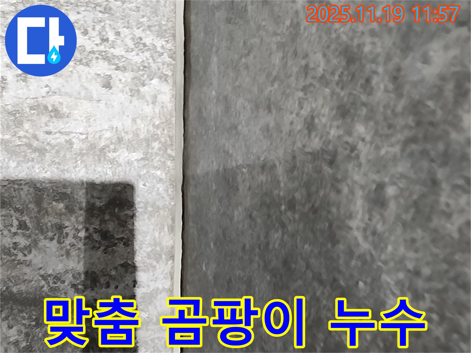 내촌 누수탐지 - 고객 맞춤 솔루션으로 벽 곰팡이 문제를 해결해 드립니다!