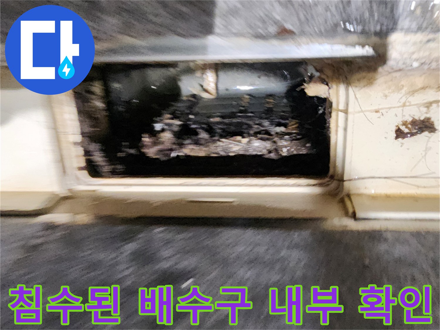 욕실 유가 내부-물과 이물질이 섞여 있는 배수구 안쪽 모습