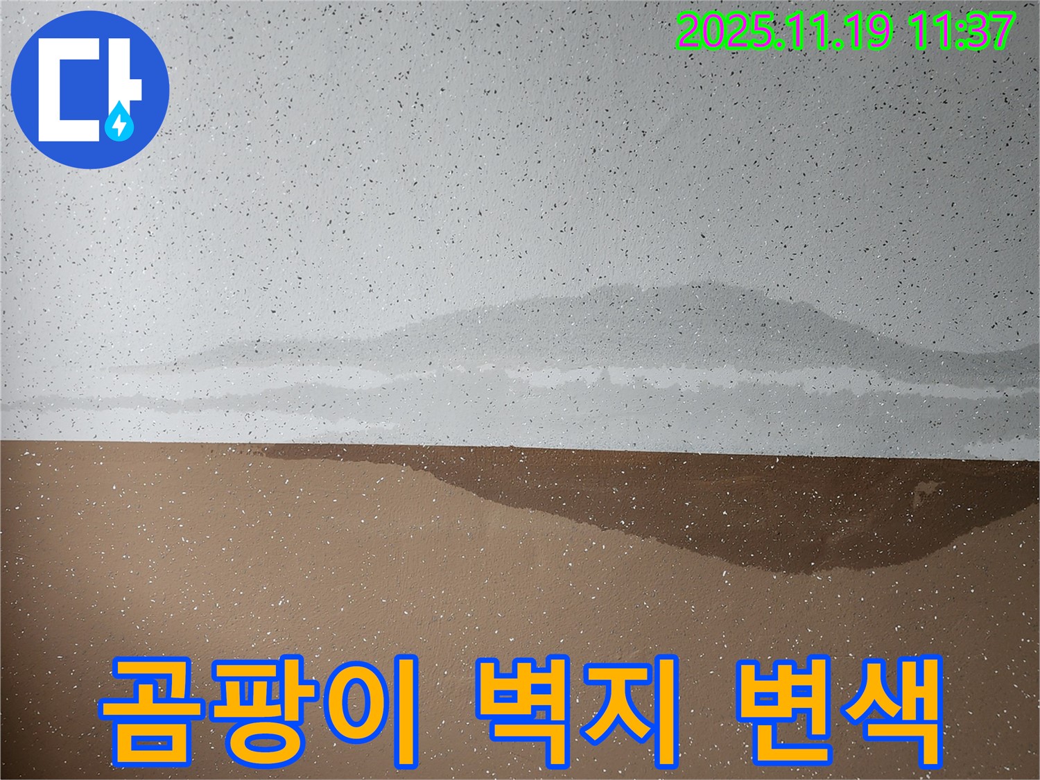 천장 곰팡이 - 벽지 변색 - 누수 신호