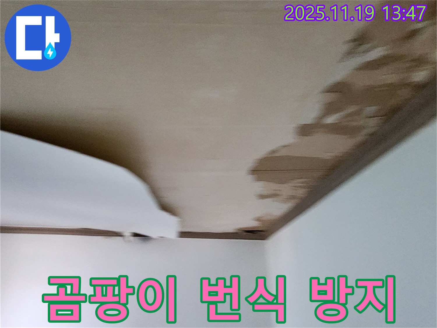 내촌면 음현리 천장 누수 - 마감재 손상 부위 곰팡이 번식 방지 조치