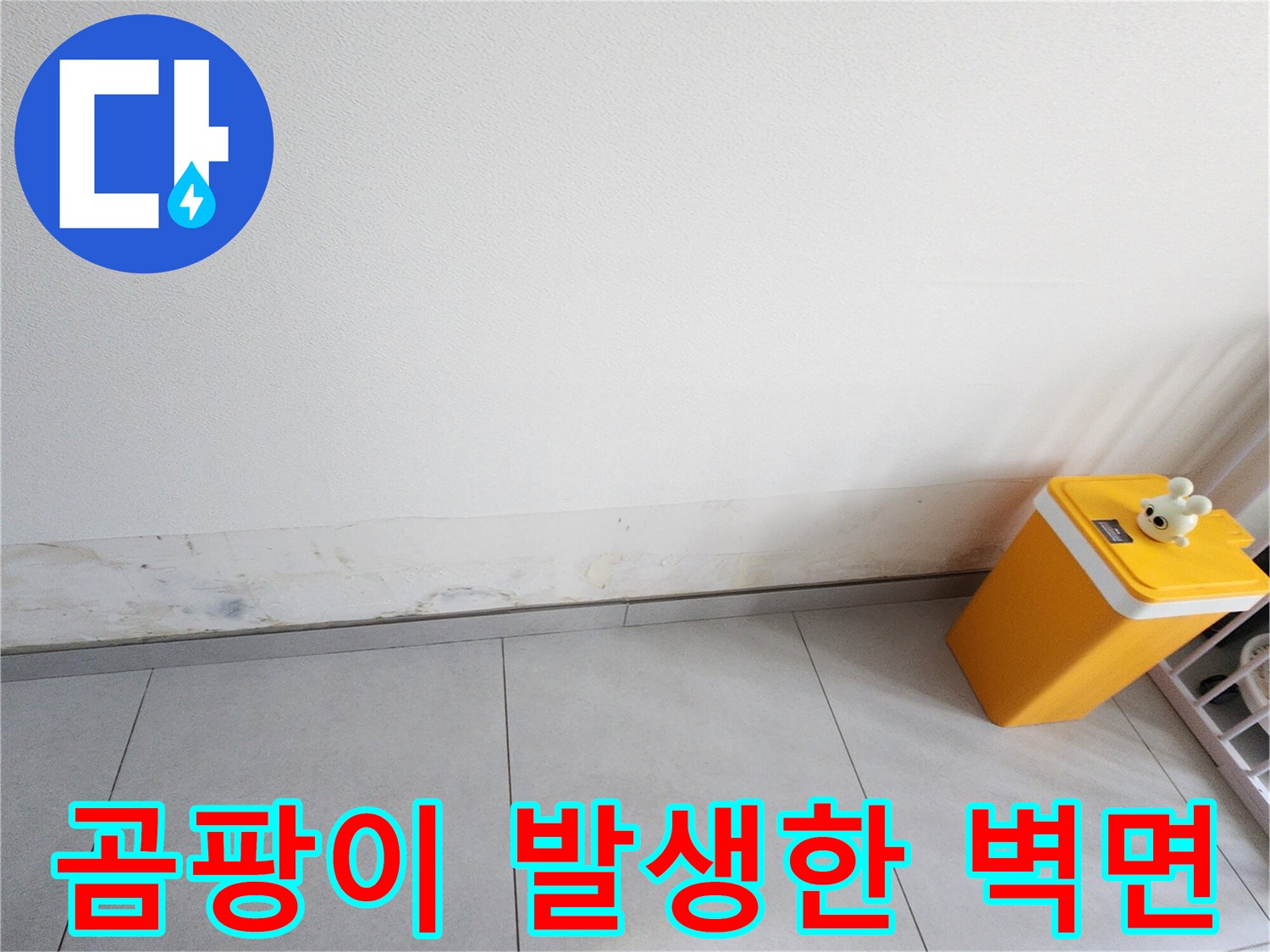 내촌면 주택-벽지 하단에 나타난 곰팡이와 습기 흔적
