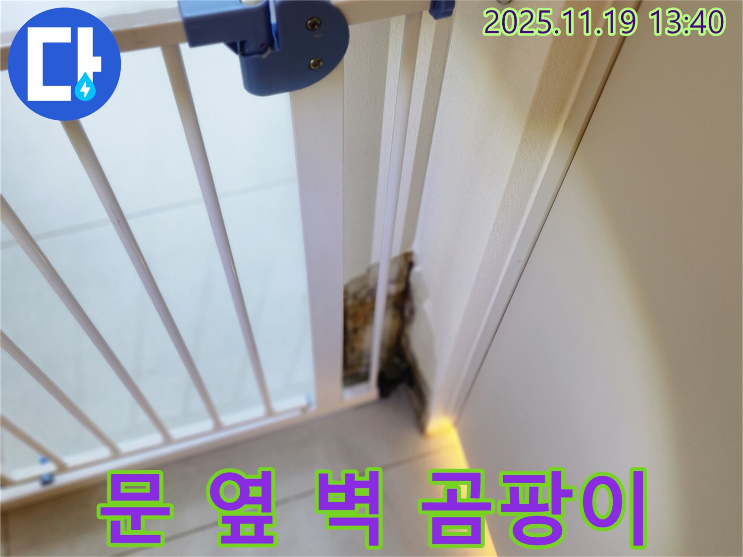 문 옆 벽면의 곰팡이 - 누수로 인해 습기가 발생하여 곰팡이가 생긴 모습입니다.