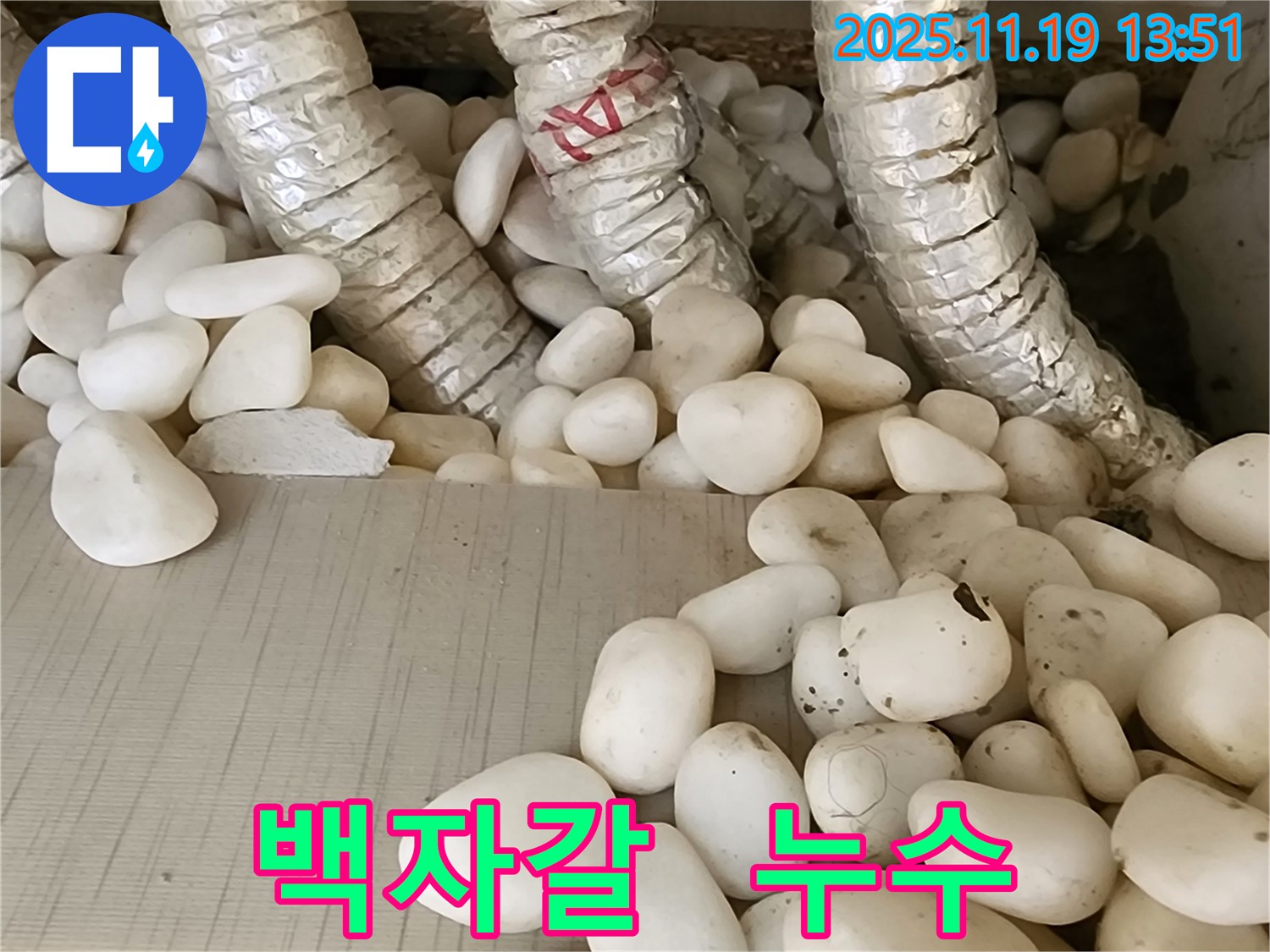 포천 내촌면 누수 - 백자갈 아래 숨겨진 배관 누수를 정확하게 탐지하고 안전하게 보수 완료!