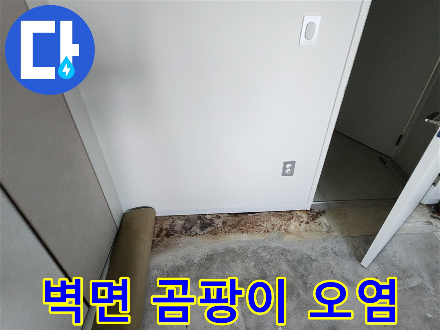포천 내촌면 현장-물샘으로 인한 벽면 하단 곰팡이 발생