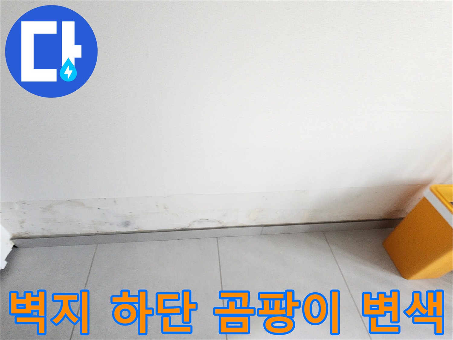 포천 내촌면 현장-벽지 하단부의 변색과 곰팡이 발생 상태