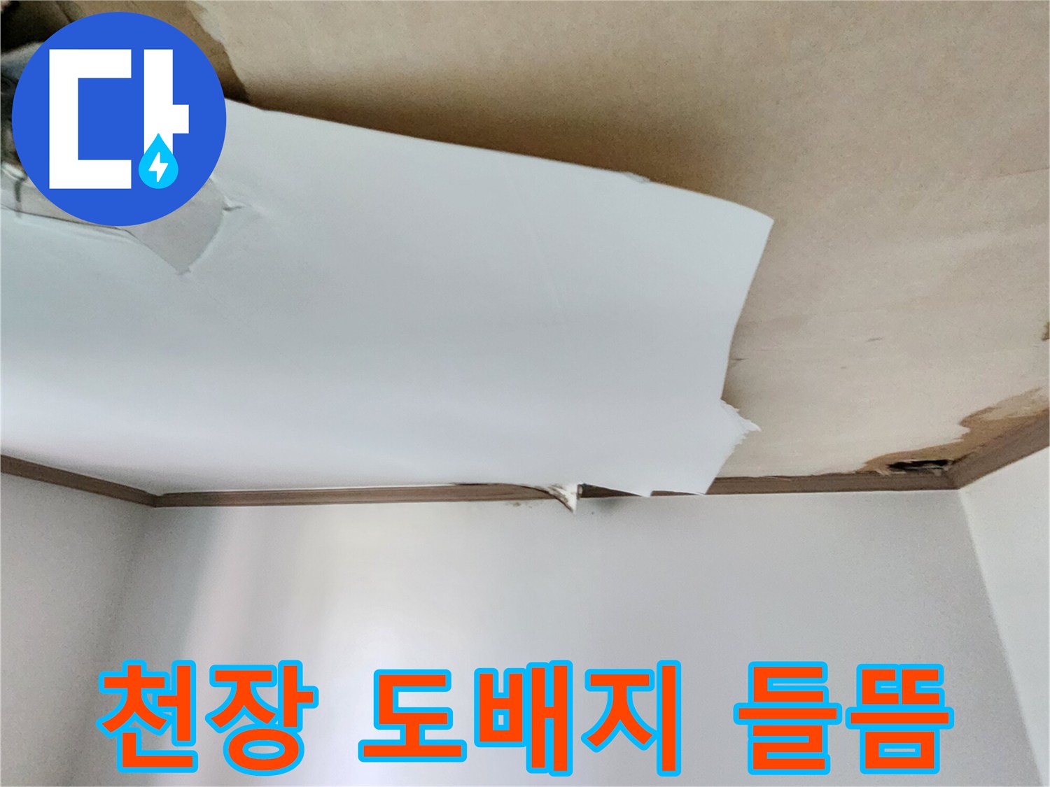 포천 내촌면 현장의 천장 벽지가 물에 젖어 들뜬 모습