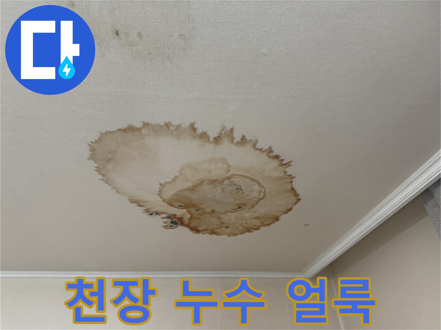 서대문구 홍제동 누수 - 곰팡이가 심하게 핀 천장 누수 얼룩