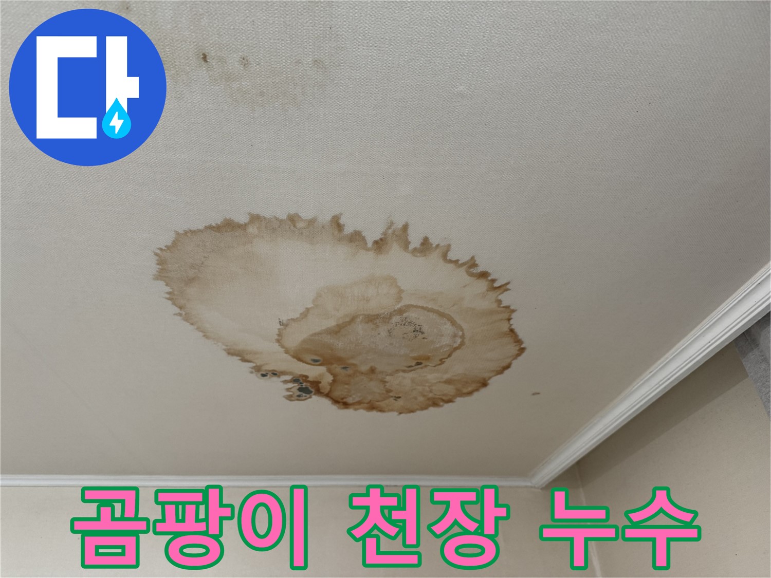 세검정 누수 - 곰팡이가 심하게 슨 천장