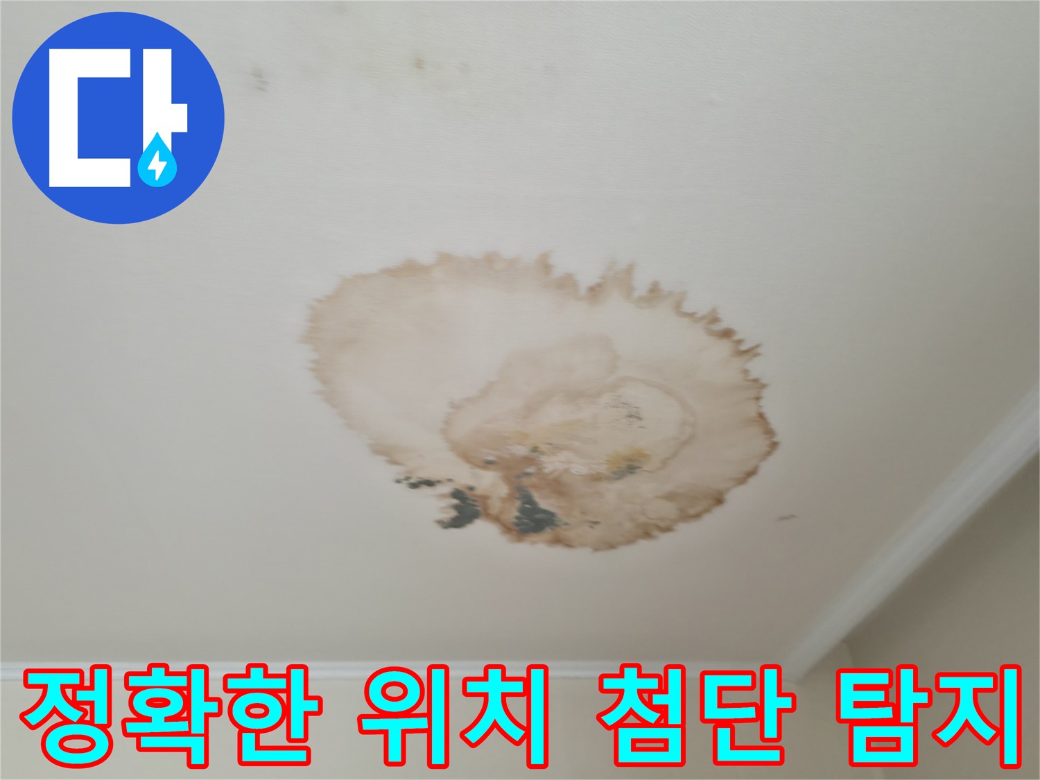 정확한 위치 - 첨단 탐지 - 서대문구 누수