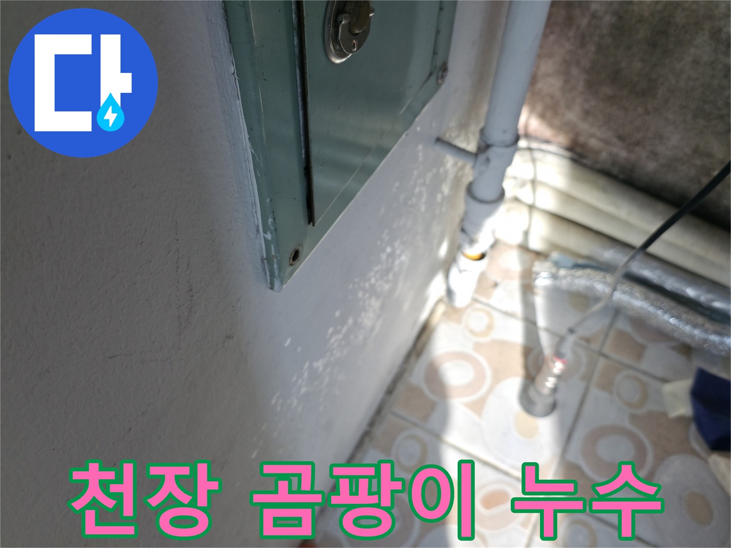 천장 곰팡이 - 윗집 누수 의심, 서대문구 누수 전문가에게 문의하세요.