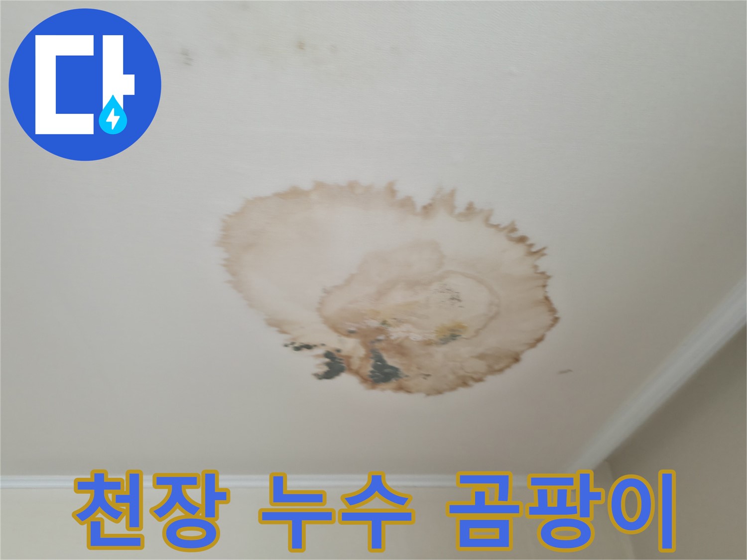 천장 누수 - 곰팡이 발생 - 건강을 위협하는 누수 문제 해결