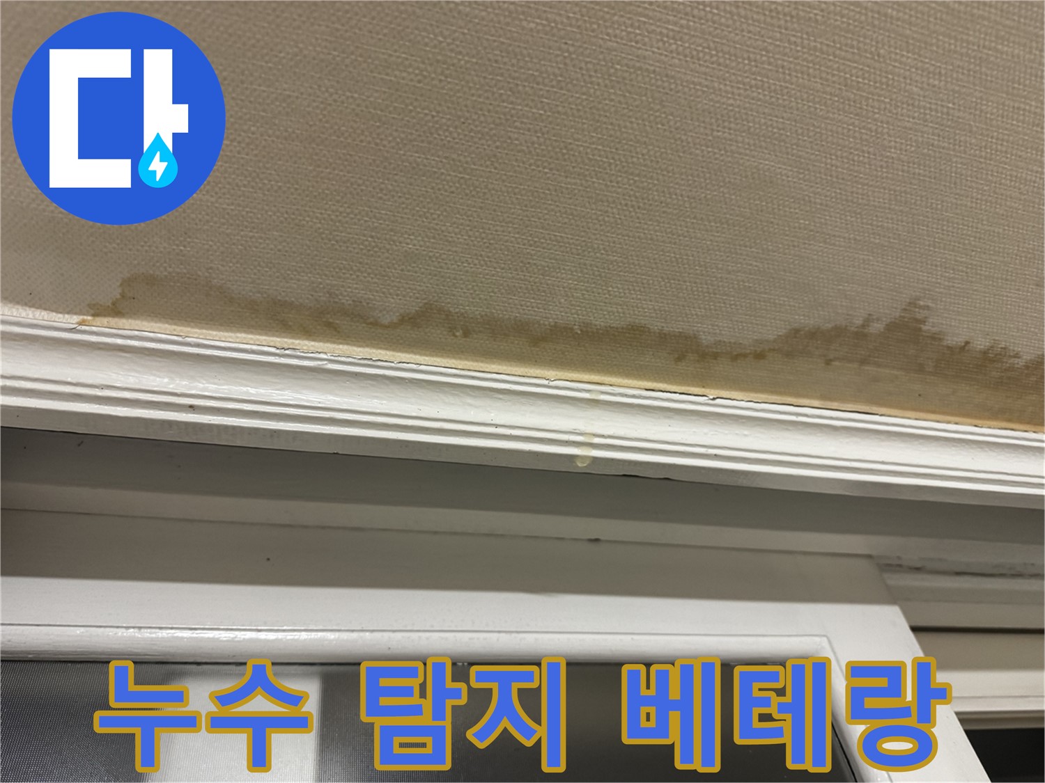 첨단 장비를 이용한 누수 탐지 - 정확한 누수 지점 탐지를 약속하며 - 전문성을 강조합니다.