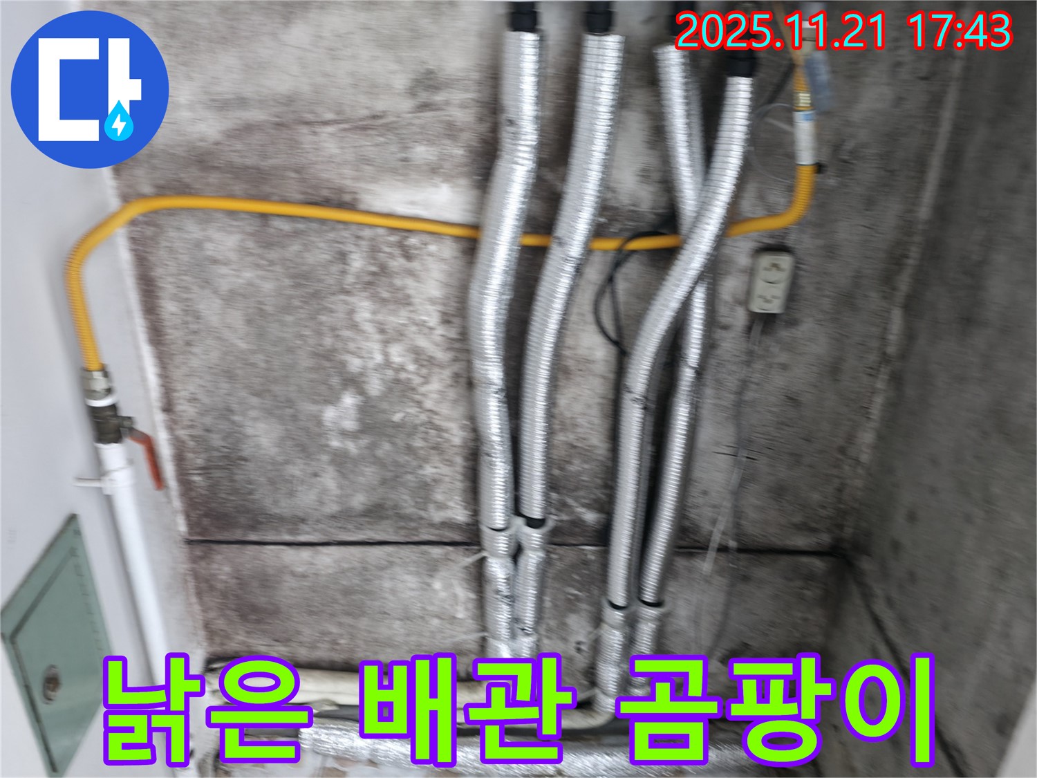 홍제동 누수 현장 - 낡은 배관에서 시작된 곰팡이 문제 - 누수 해결과 함께 곰팡이 제거 솔루션 제공