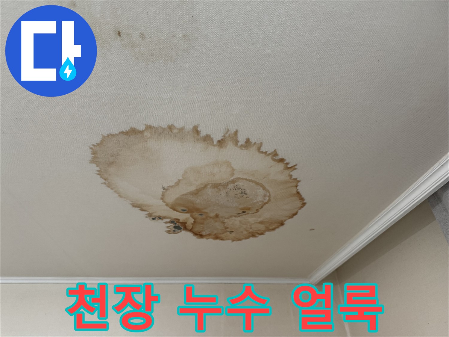 홍제동에서 발생한 천장 누수 - 멈추지 않는 누수로 인한 천장 얼룩