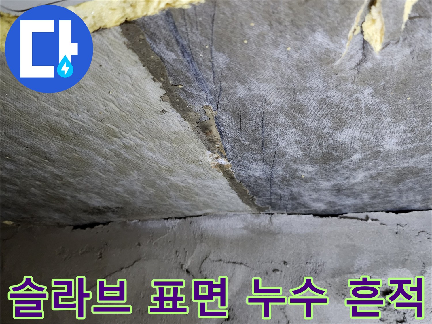 가산면 현장-물기가 스며든 천장 콘크리트 표면
