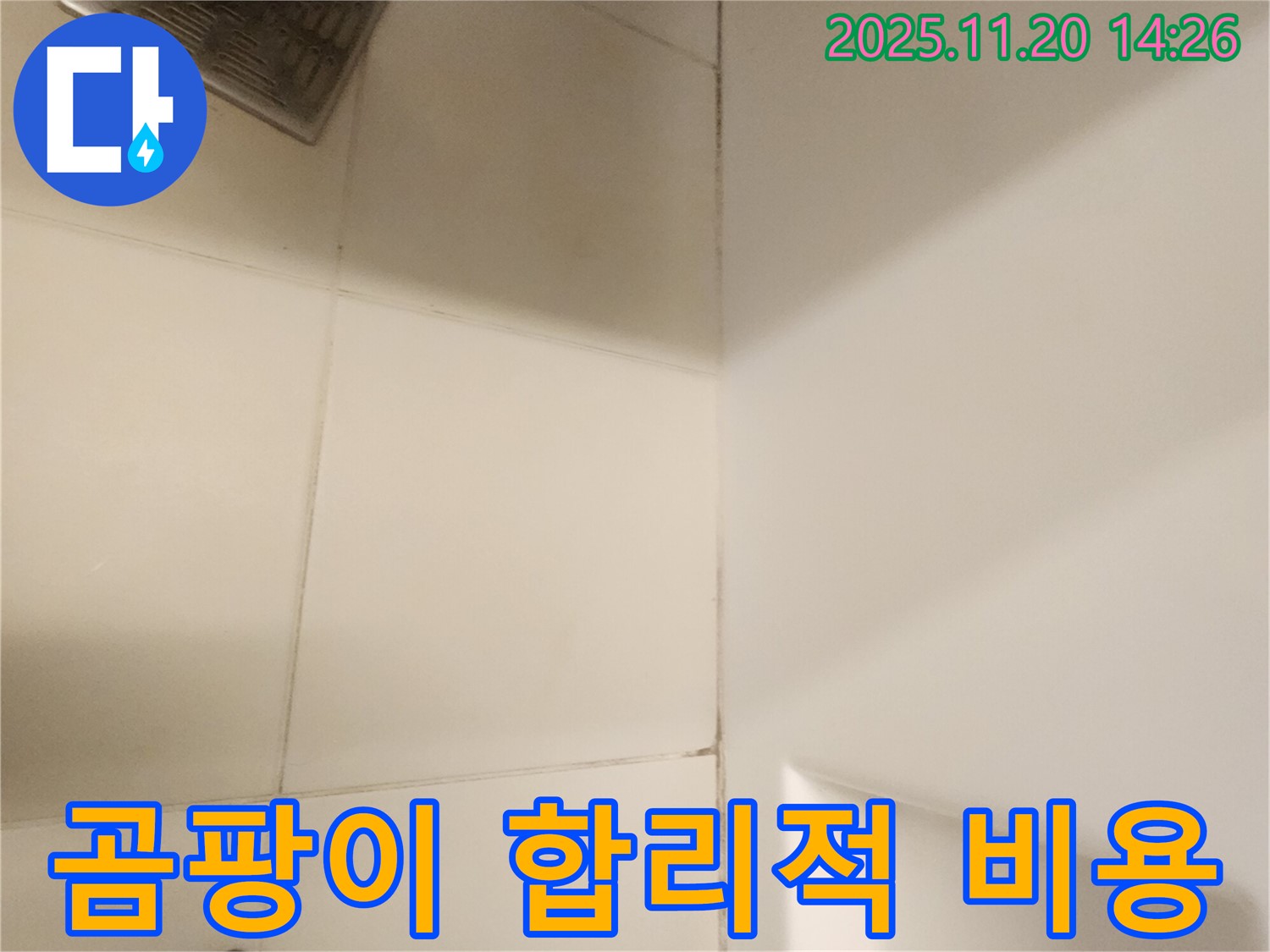포천 가산면 욕실 - 곰팡이, 합리적인 비용으로 확실하게 해결!