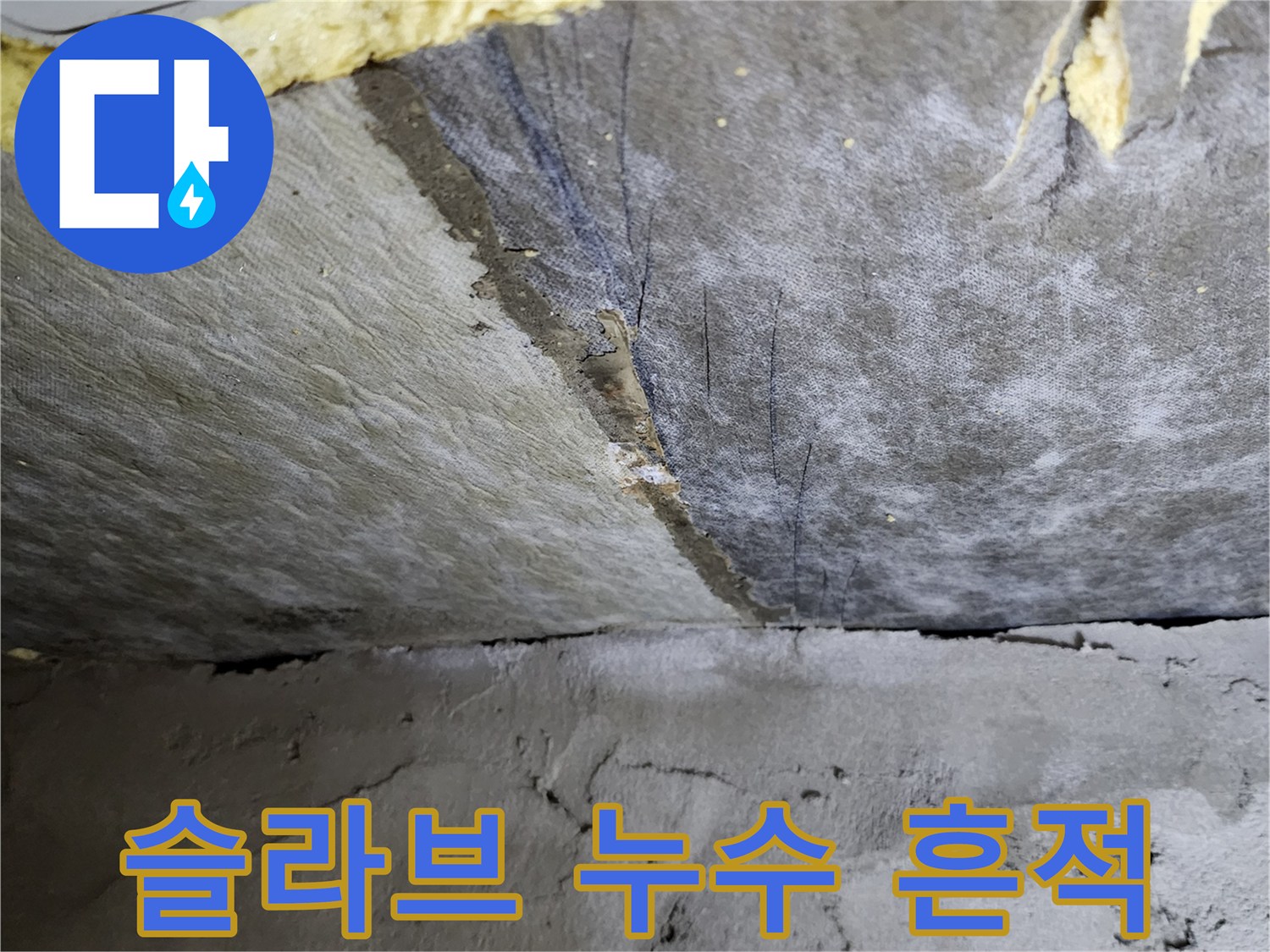 포천 가산면-욕실 하부 슬라브의 습기 및 오염 상태