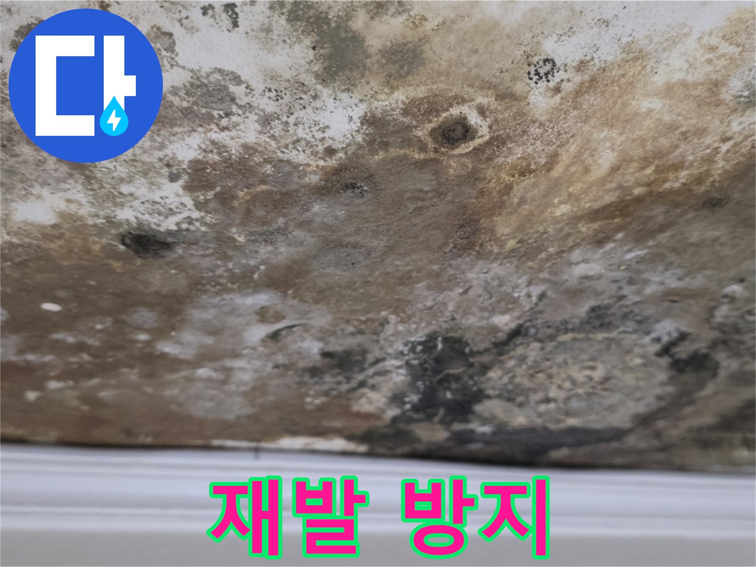 곰팡이 제거 후 - 완벽한 재발 방지 시공!