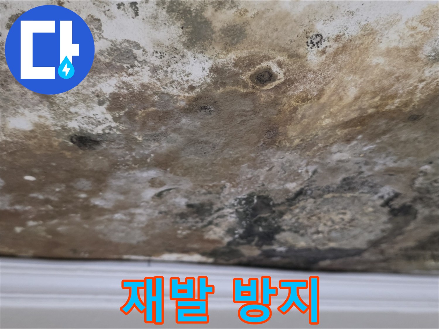 곰팡이 제거 후 - 완벽한 재발 방지 시공!
