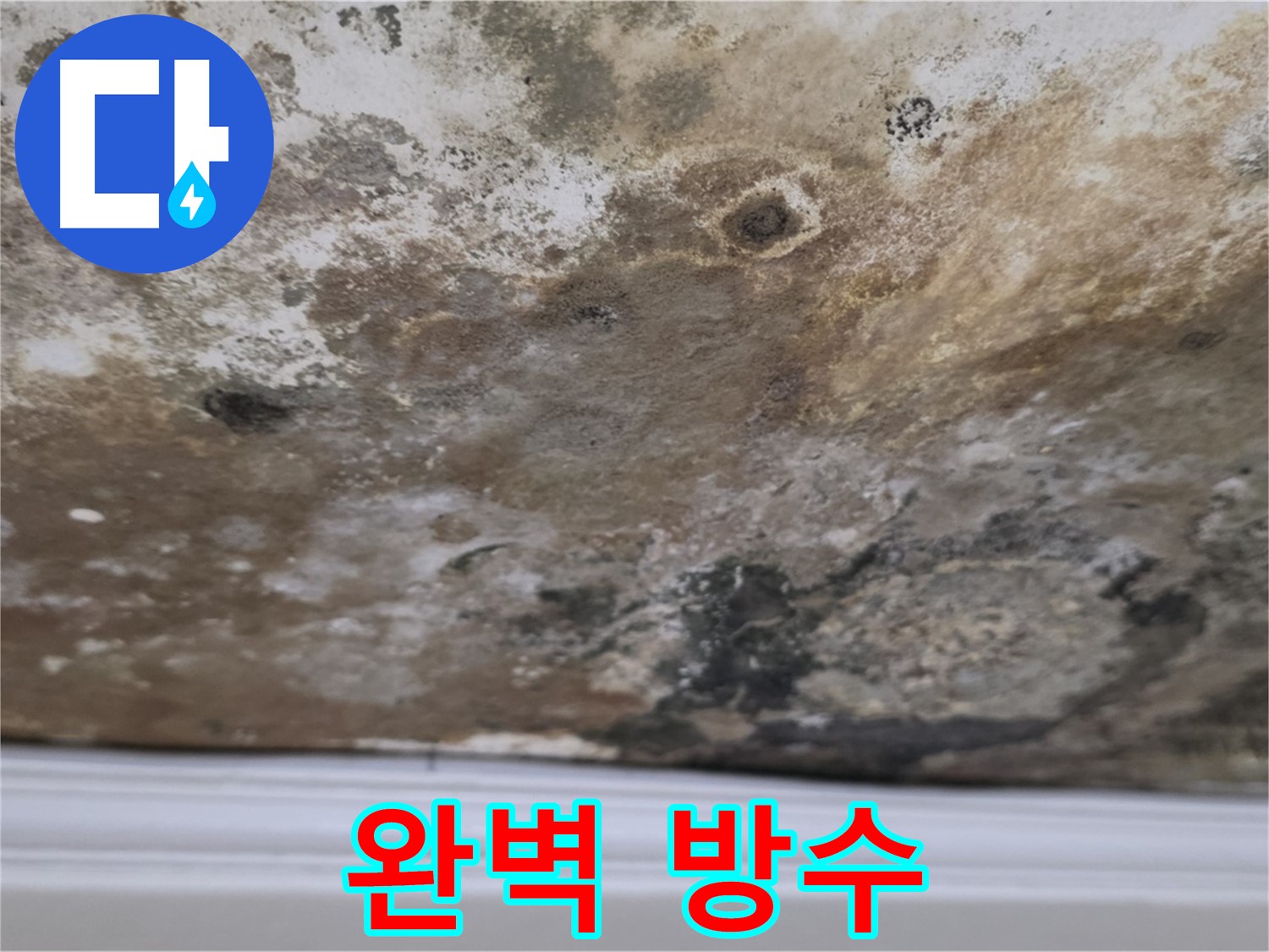 곰팡이 천장 방수 공사 - 누수 재발 방지를 위한 완벽 방수 시공