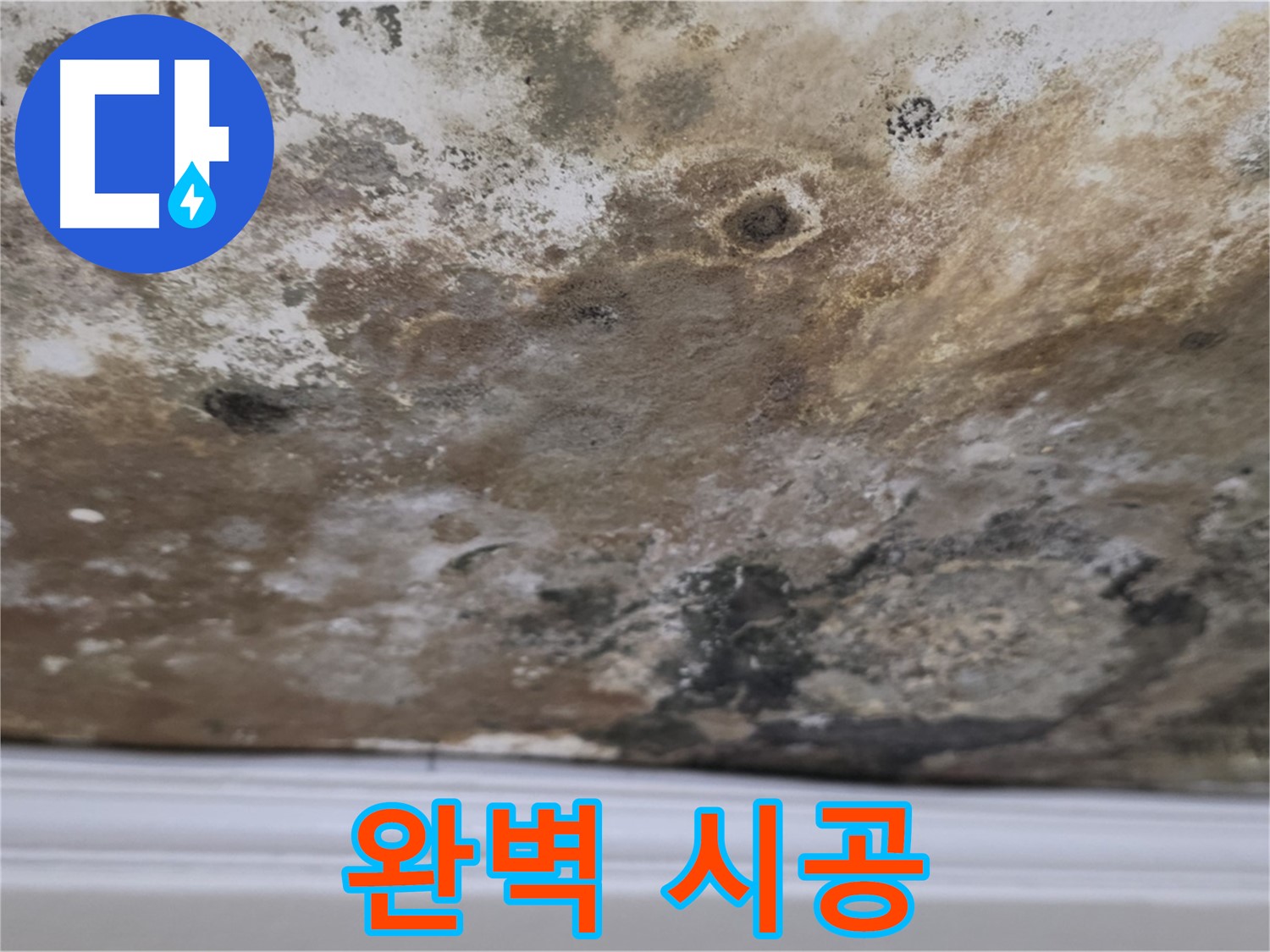곰팡이 천장 - 완벽한 시공 과정