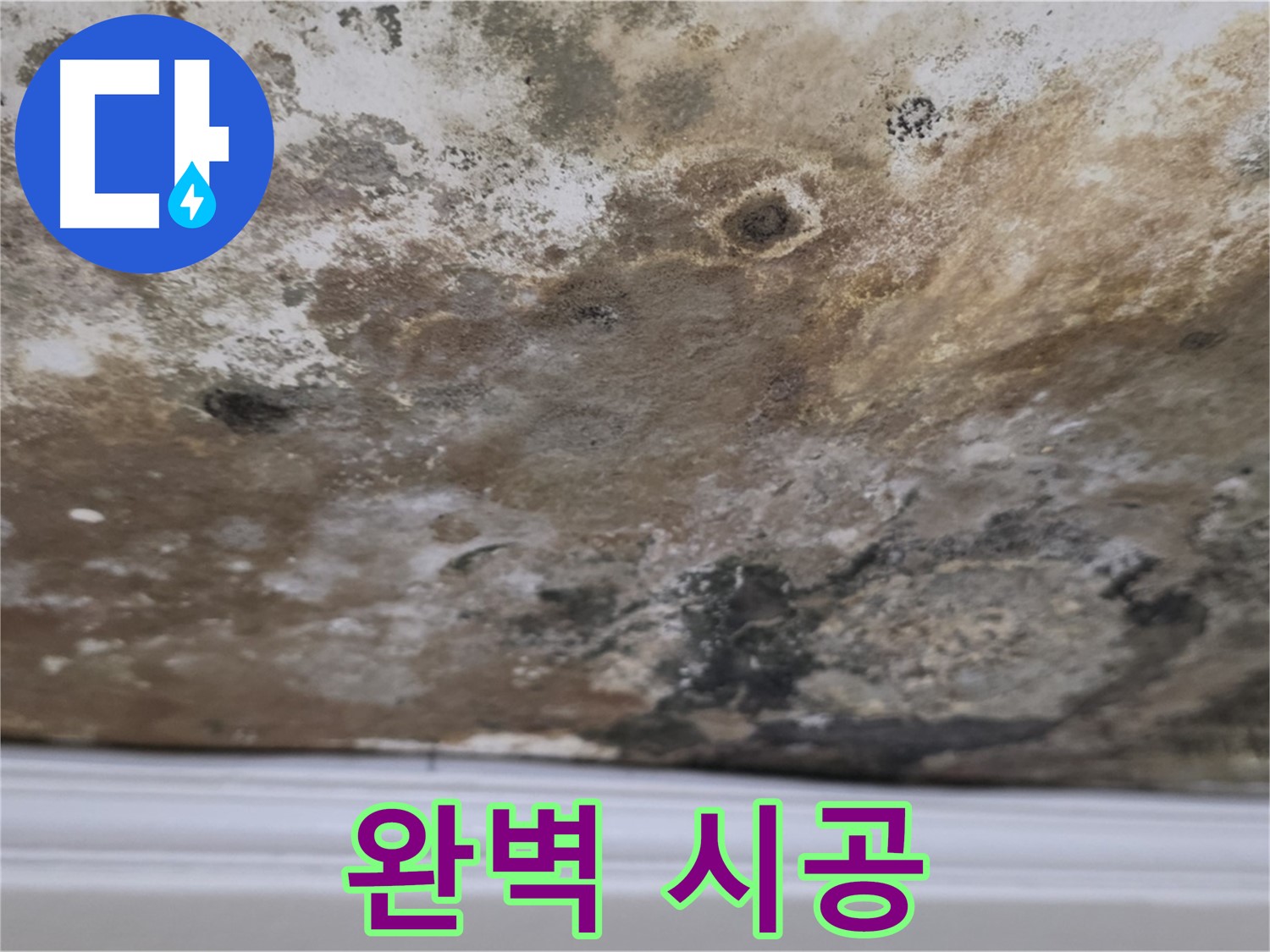 곰팡이 천장 - 완벽한 시공 과정