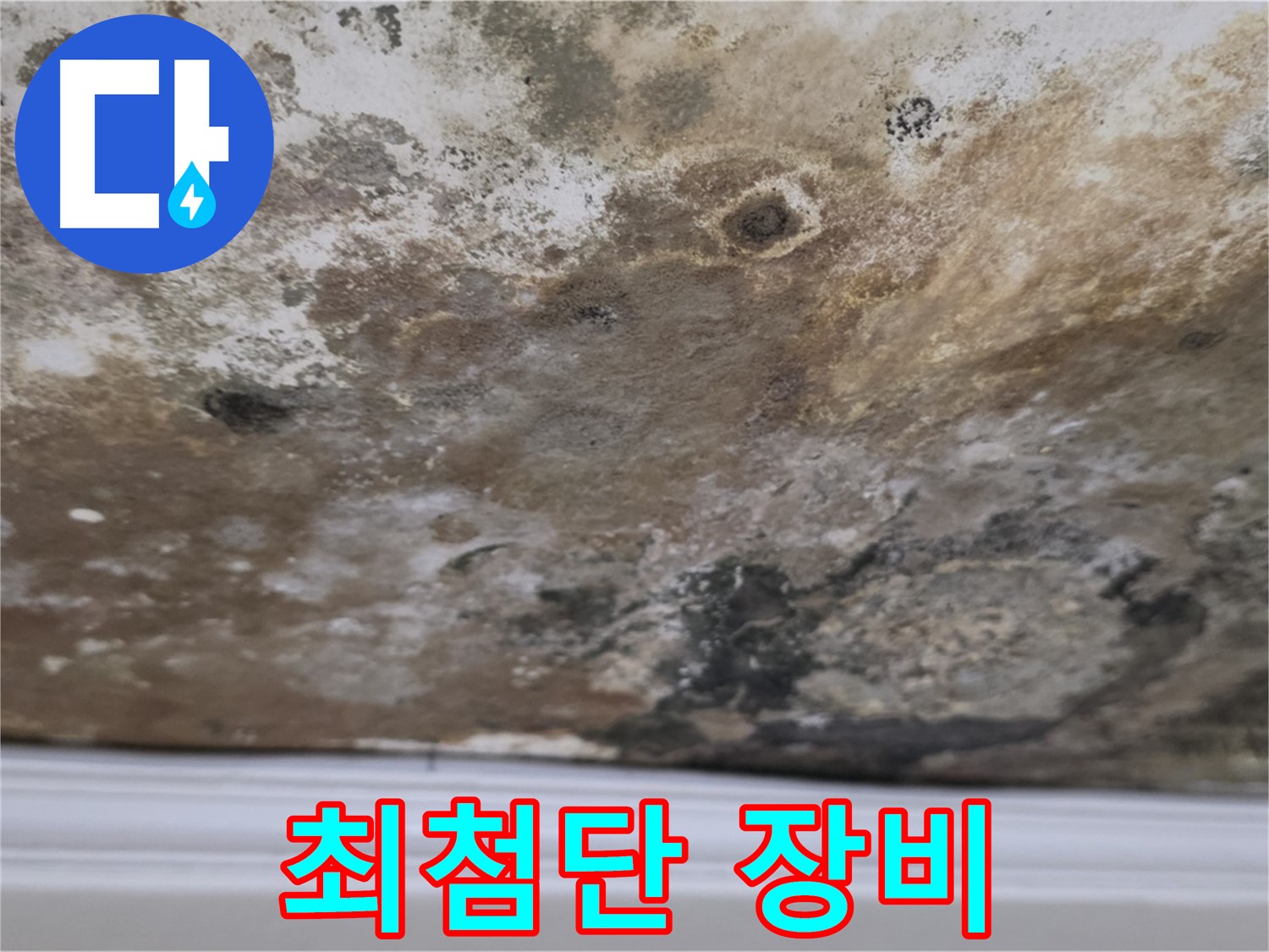 곰팡이 천장 - 최첨단 누수 탐지 장비 사용 모습
