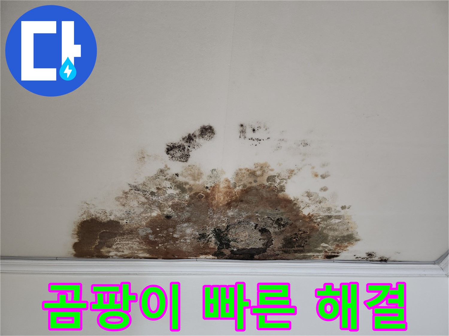 마포구 긴급 누수 해결 - 곰팡이 천장 빠른 해결 및 안심 보장