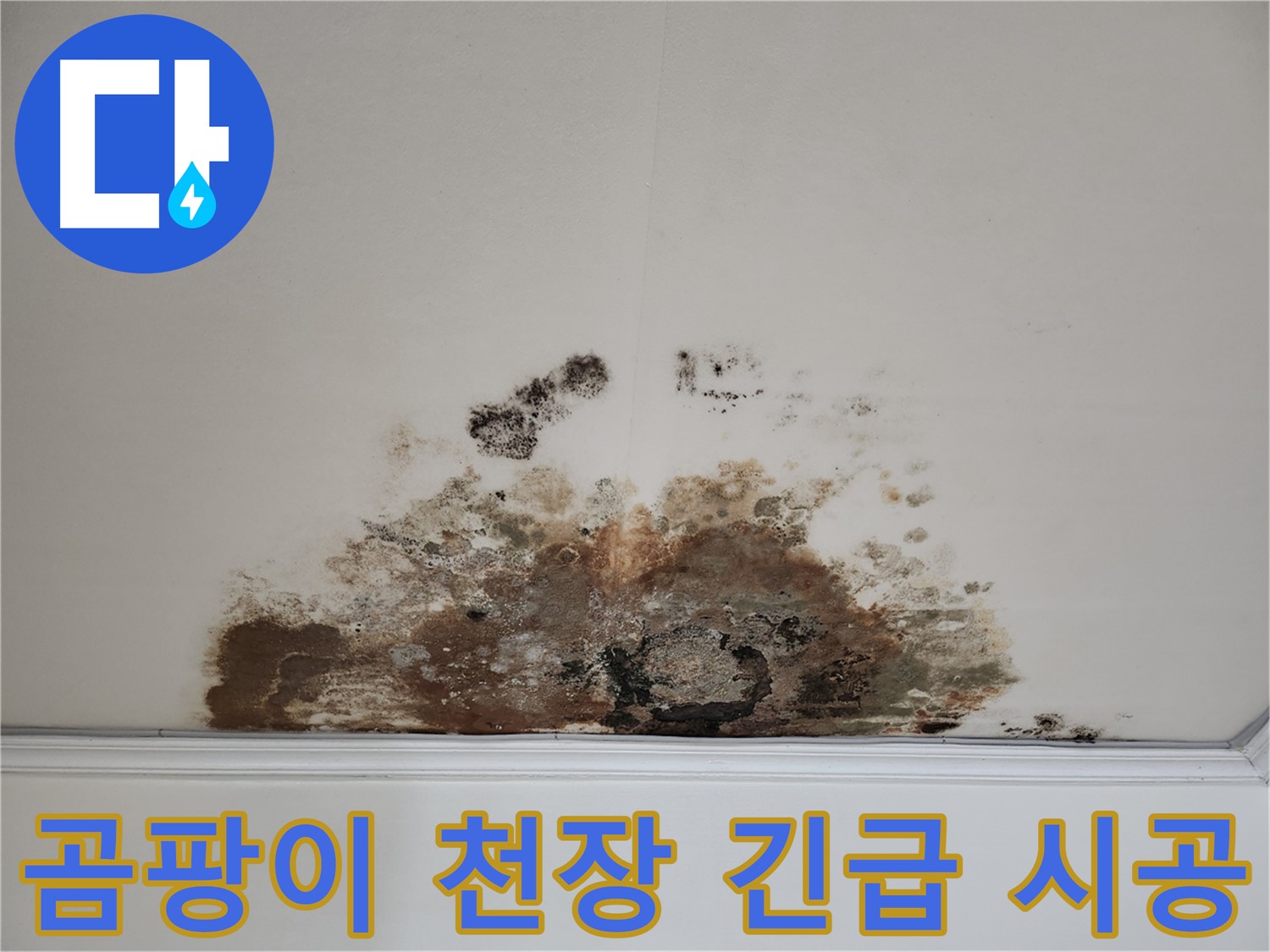 마포구 누수 긴급 - 곰팡이 천장 빠른 진단, 완벽 시공