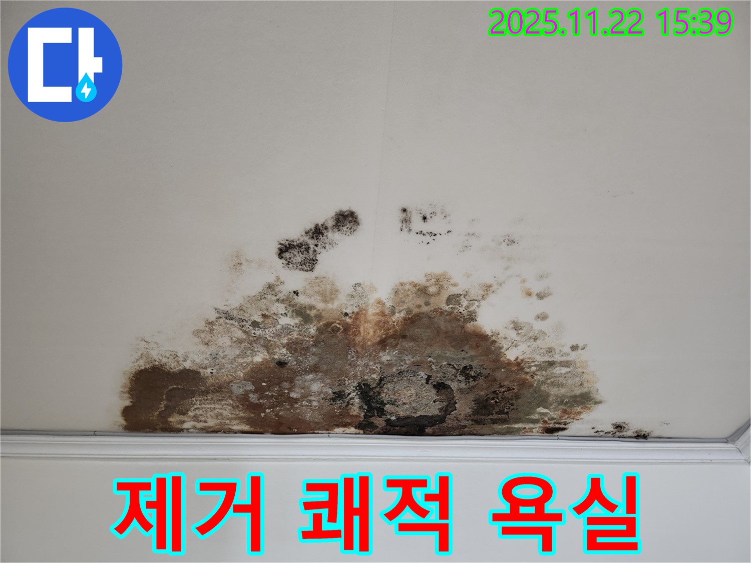 마포구 새창로 아파트 - 곰팡이 천장, 곰팡이 제거, 쾌적한 욕실 환경 조성