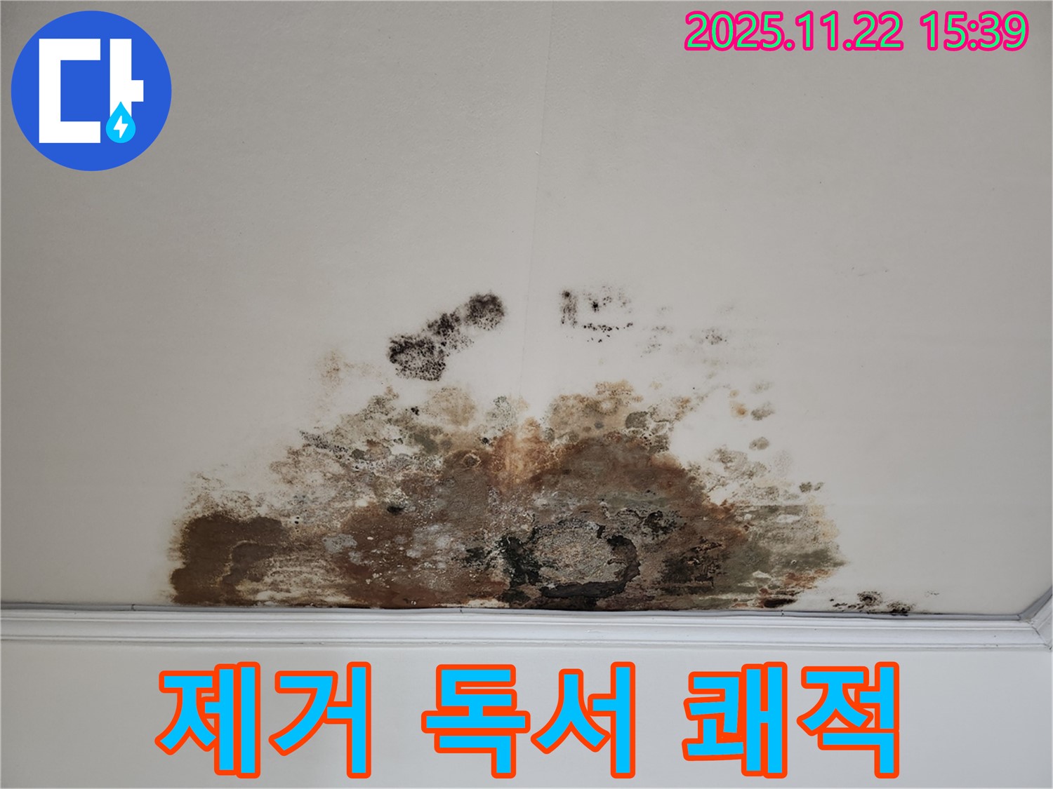 마포구 새창로 아파트 - 곰팡이 천장, 곰팡이 제거로 쾌적한 공간에서 즐거운 독서를