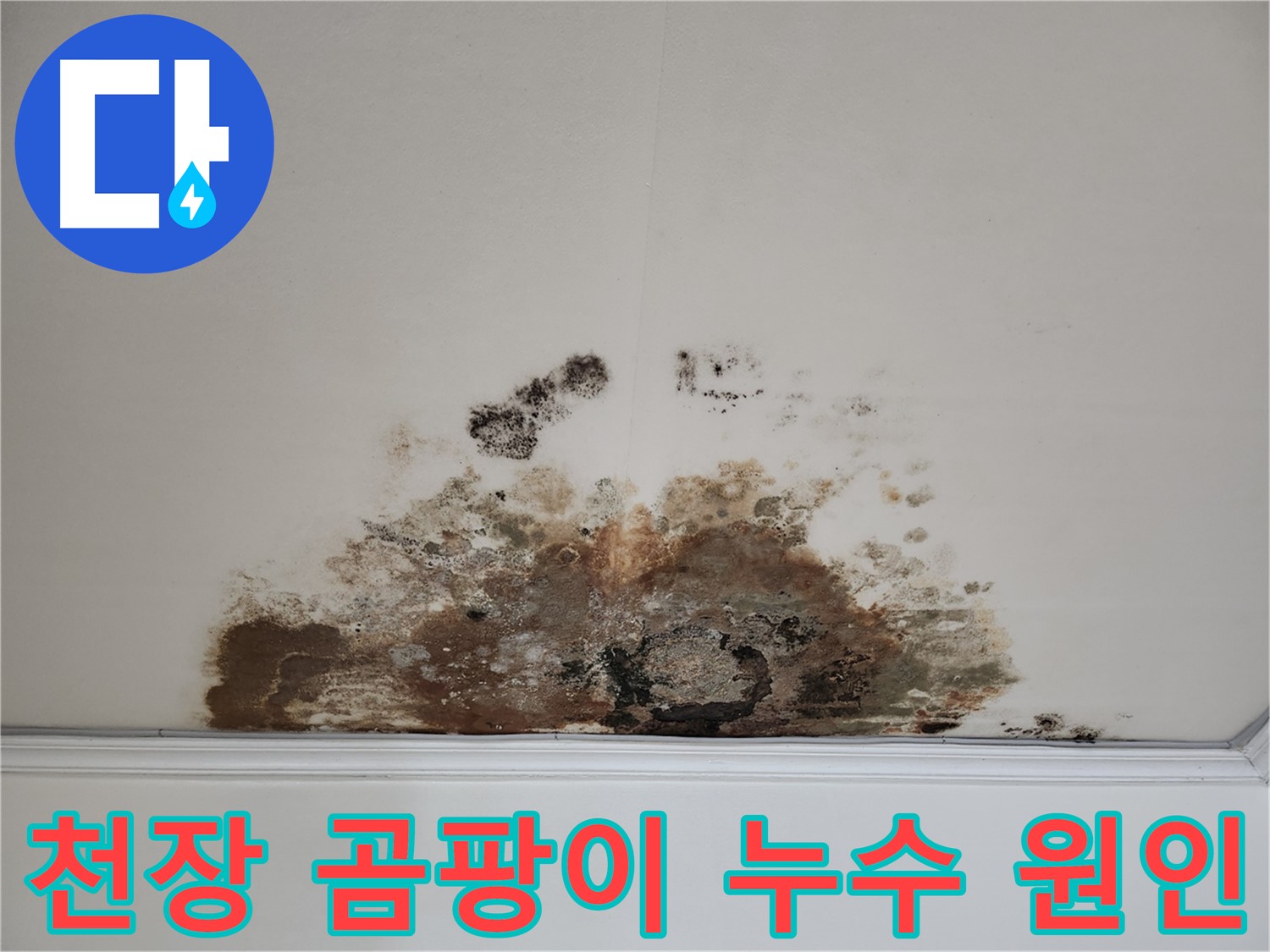 마포구 아파트 천장 곰팡이 - 누수 원인 진단 및 해결 전문