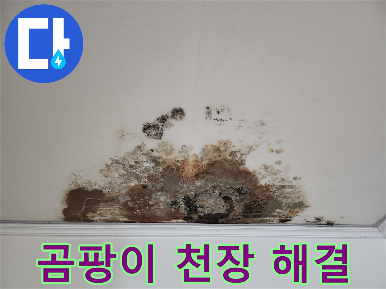 마포구 용강동 곰팡이 천장 누수 - 완벽 해결, 24시간 대기