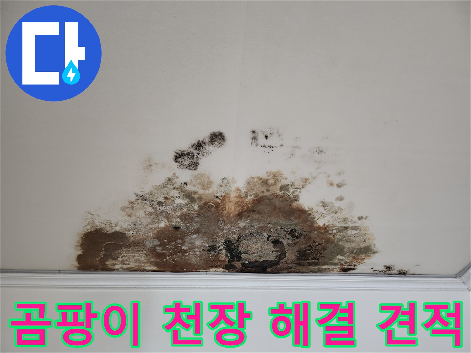 마포구 용강동 누수, 곰팡이 천장 - 합리적 견적, 완벽 해결 약속