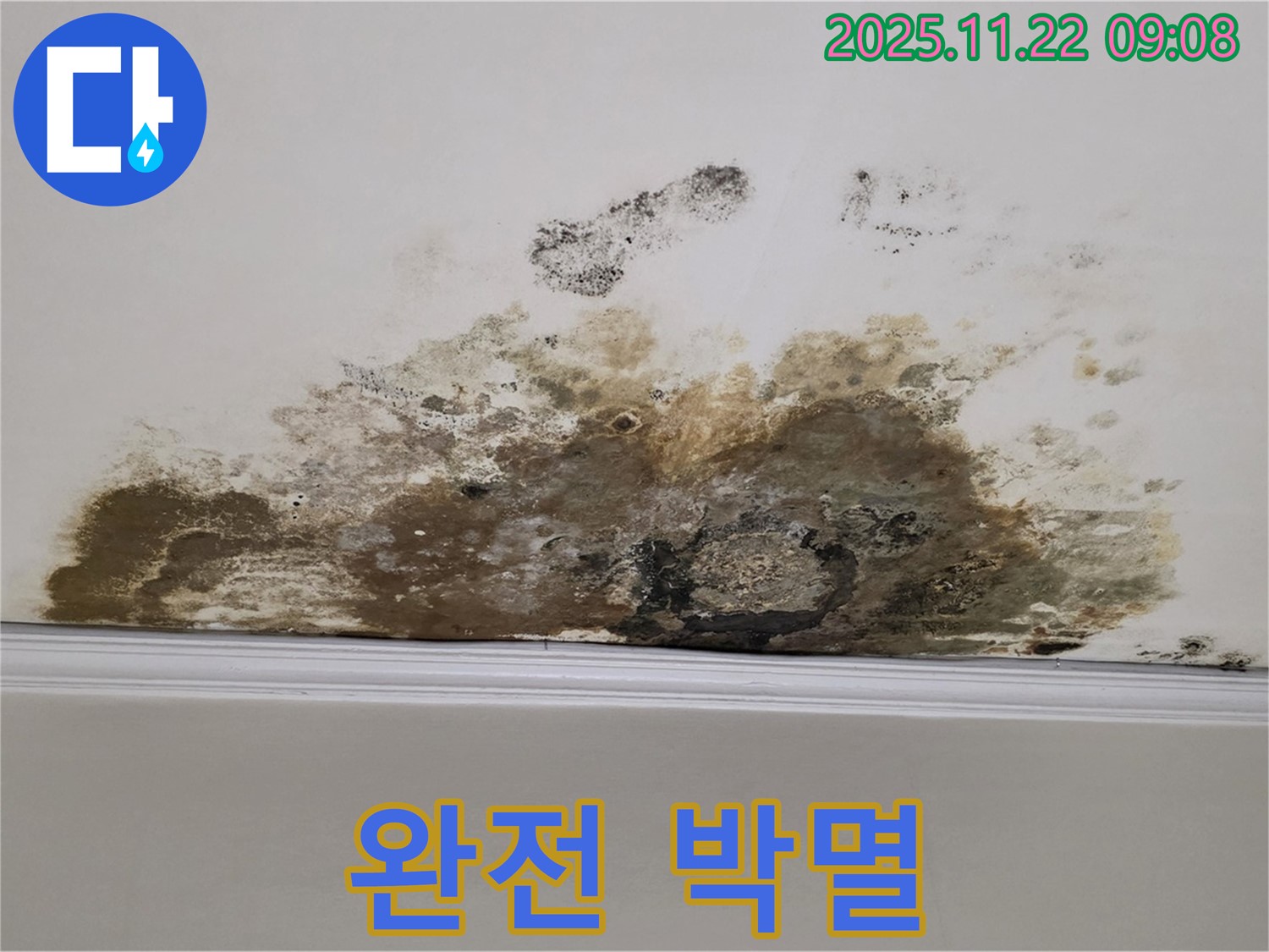 마포구 용강동 아파트 누수 - 곰팡이 완전 박멸, 깨끗한 우리 집에서 행복 충전 완료!