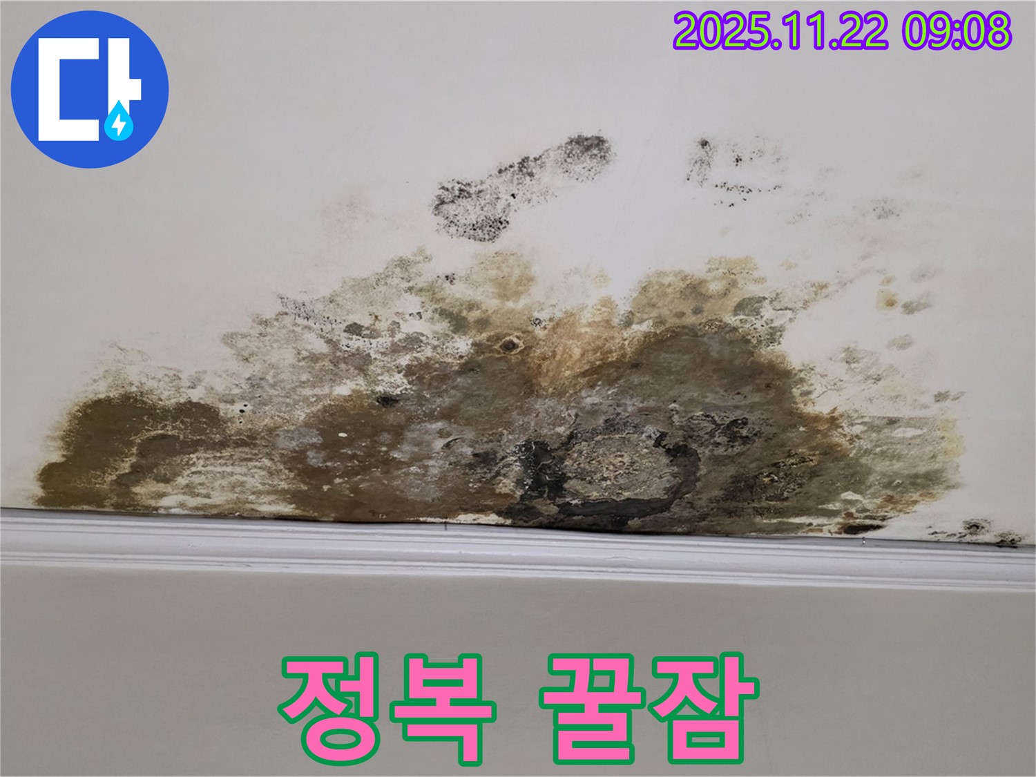 마포구 용강동 아파트 누수 - 곰팡이 완전 정복, 깨끗한 우리집에서 꿀잠 예약!
