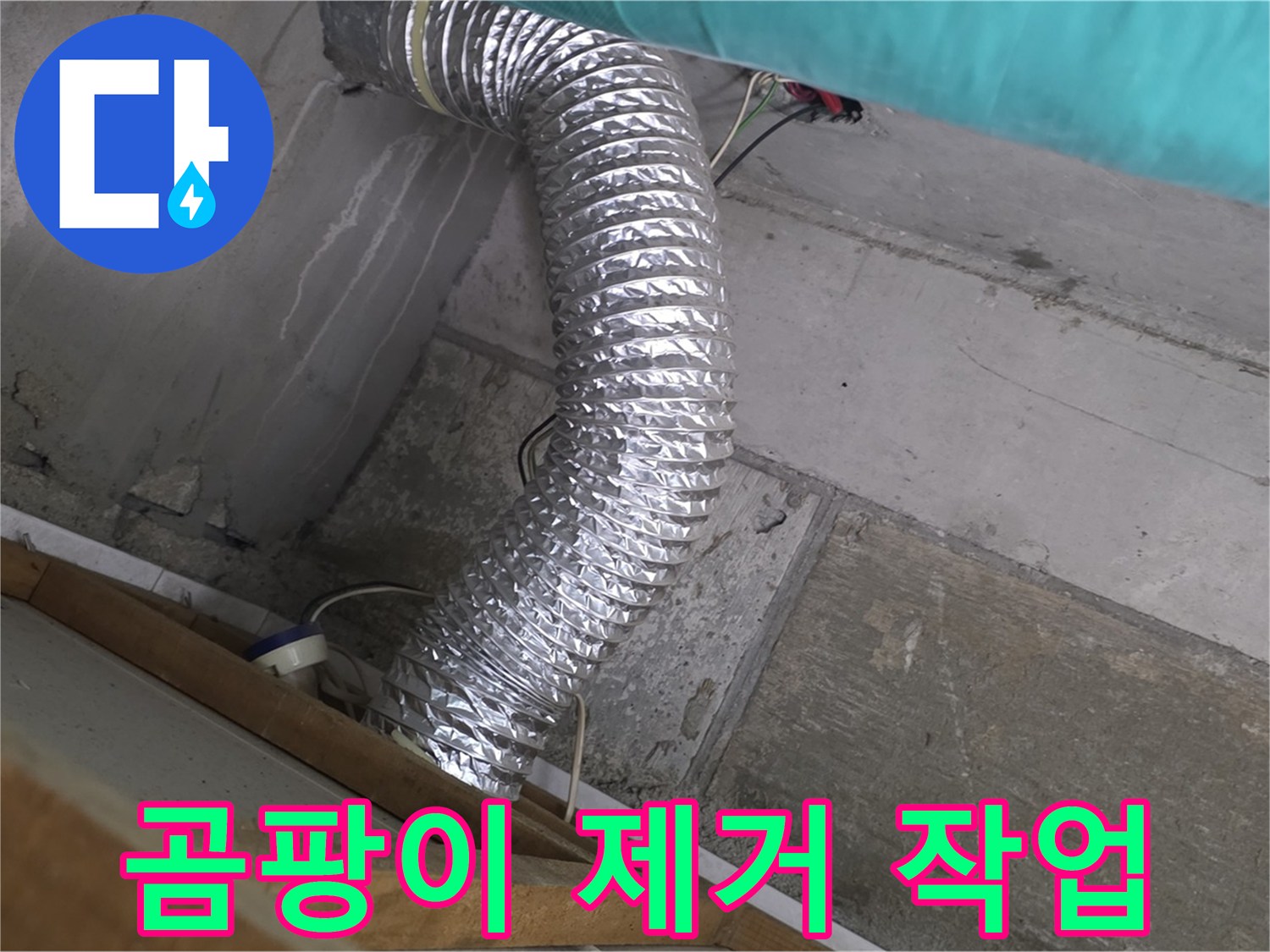 마포구 용강동 현대홈타운 누수 점검 - 욕실 환풍기 배관 주변 곰팡이 제거 작업 중