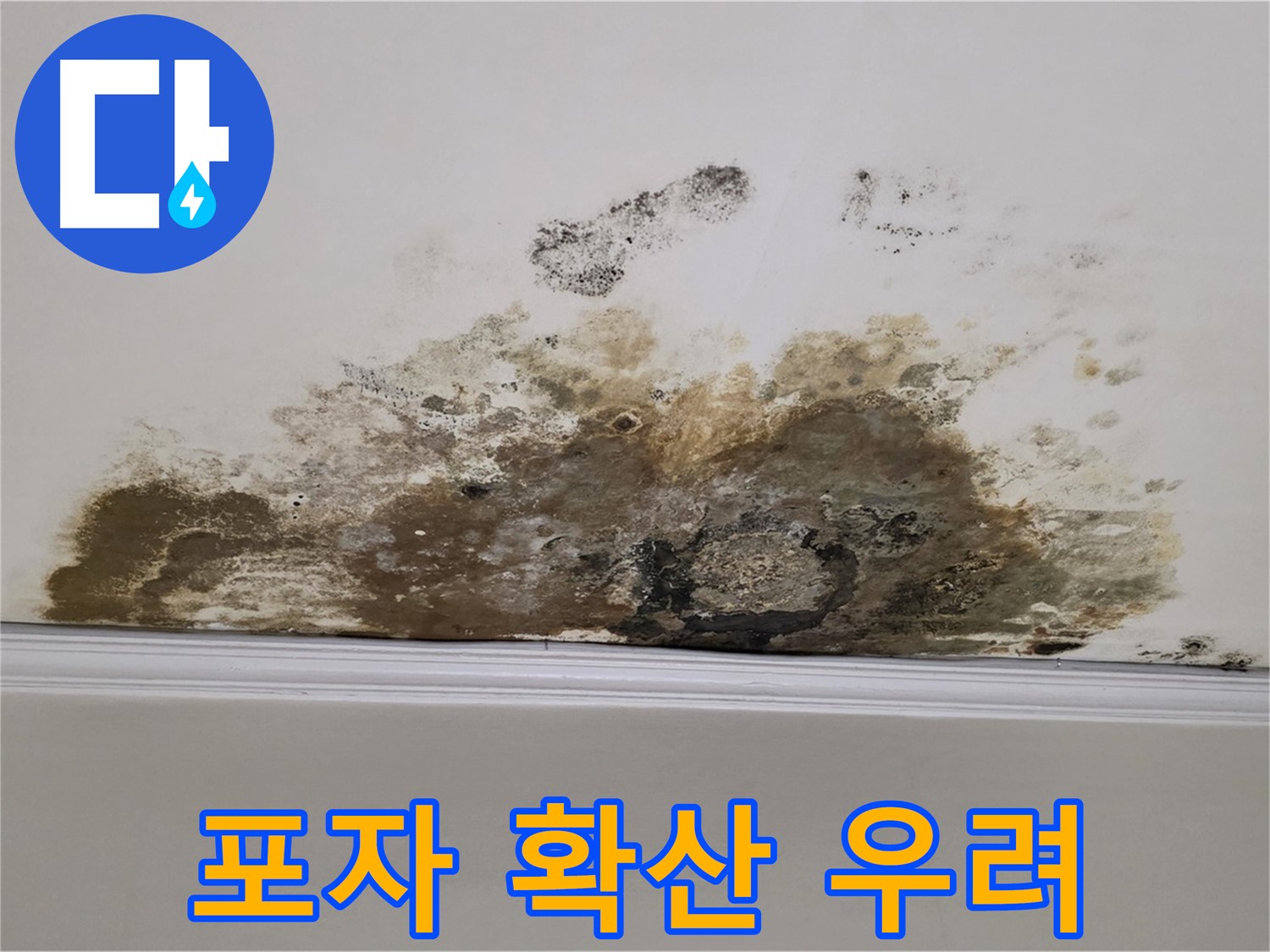 마포구 용강동 현대홈타운 아파트 - 곰팡이 천장 - 곰팡이 포자 확산 우려