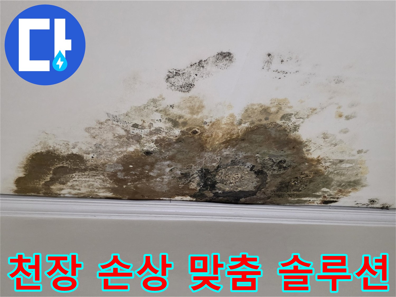 마포구 용강동 현대홈타운 아파트 - 곰팡이로 인한 천장 손상 긴급 진단 및 완벽 맞춤 솔루션 제공 - 고객 맞춤 서비스