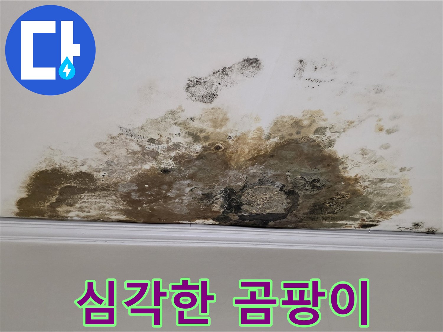 마포구 용강동 현대홈타운 아파트 - 심각한 천장 곰팡이 오염 상태