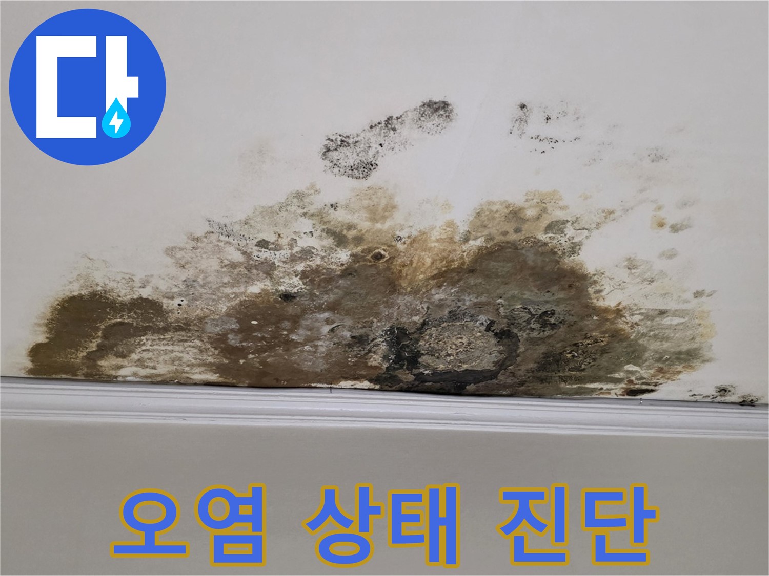 마포구 용강동 현대홈타운 아파트 - 심각한 천장 곰팡이 오염 상태 진단