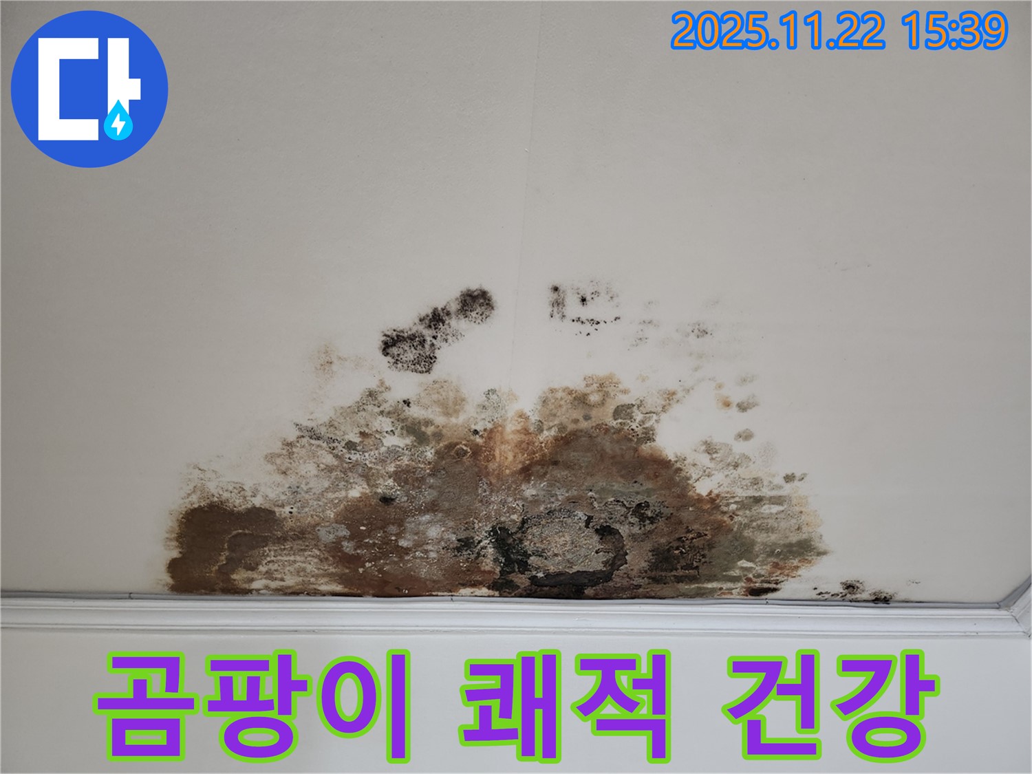 새창로 현대홈타운 아파트 - 곰팡이 천장, 쾌적한 환경에서 건강한 생활을