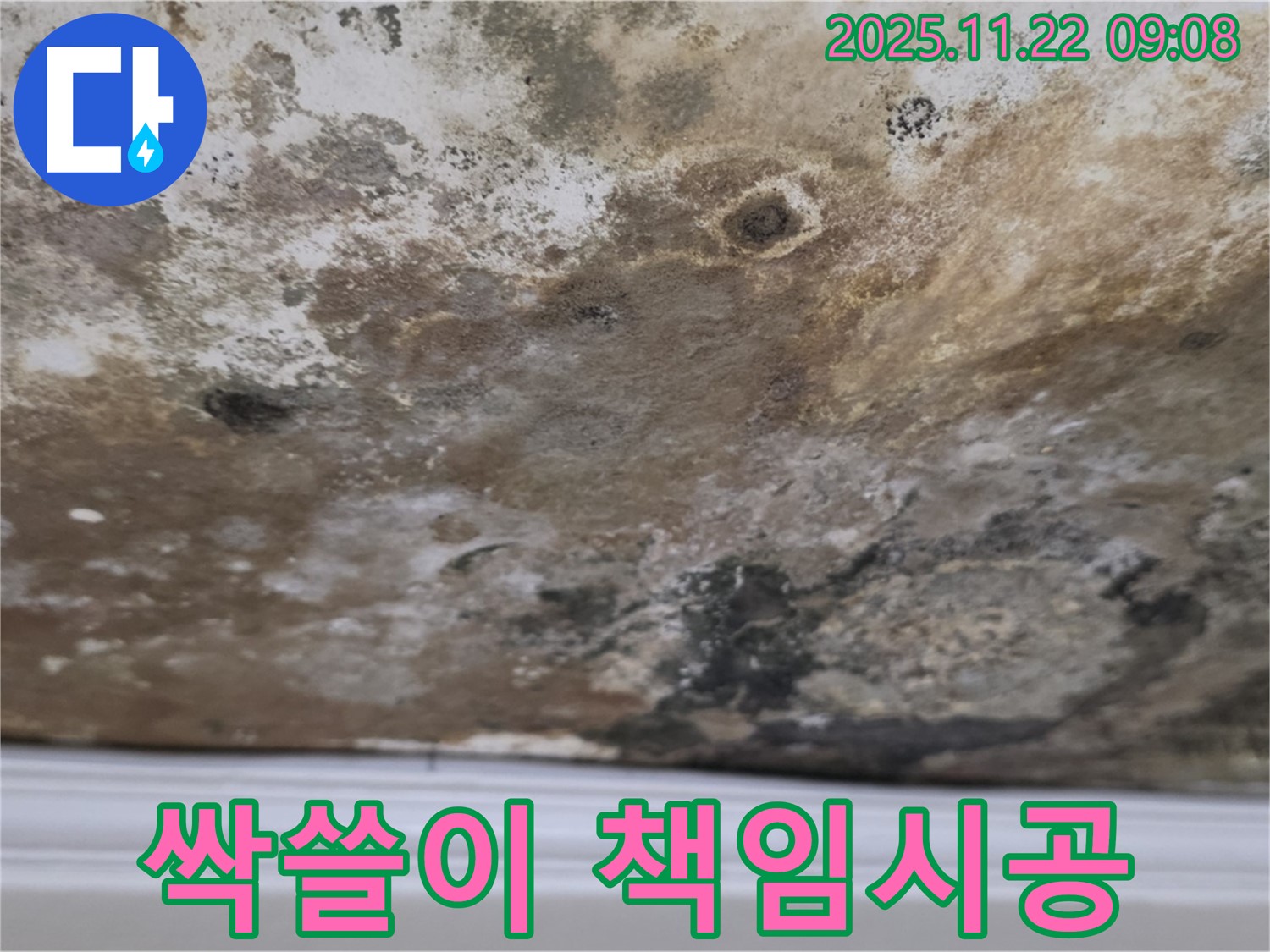 새창로8길 천장 누수 - 곰팡이 싹쓸이 - 완벽 방수 책임 시공