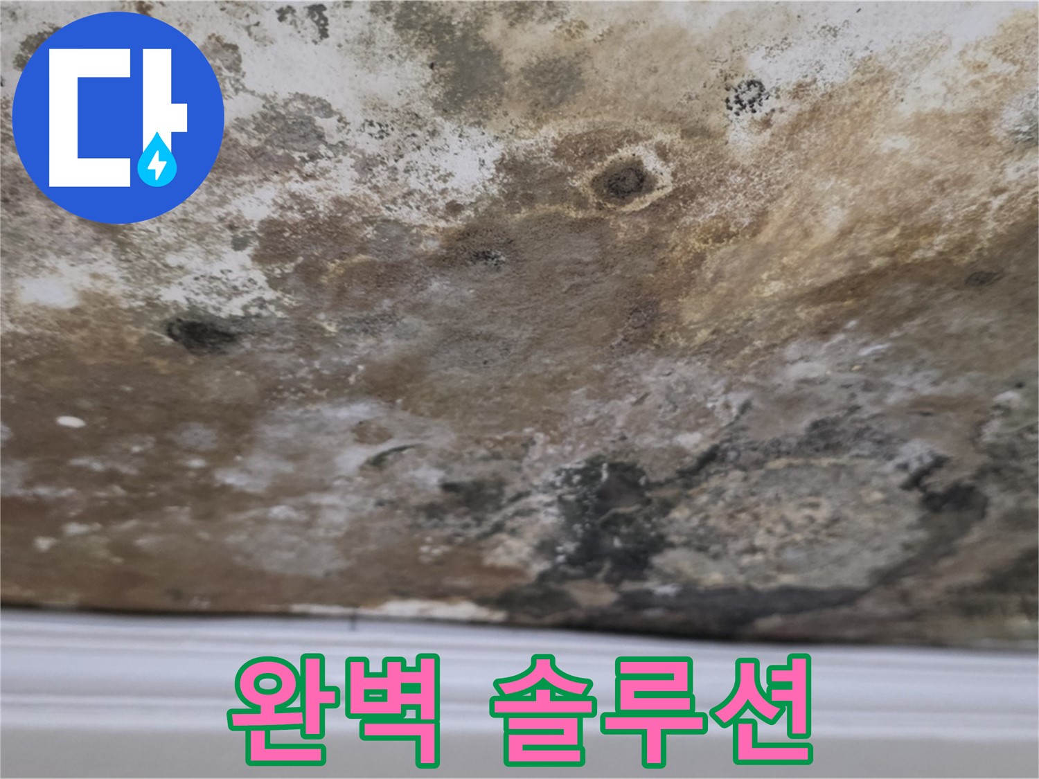 완벽한 누수 해결 솔루션 - 누수 문제 해결을 위한 최적의 솔루션을 제공하는 상세 모습입니다.
