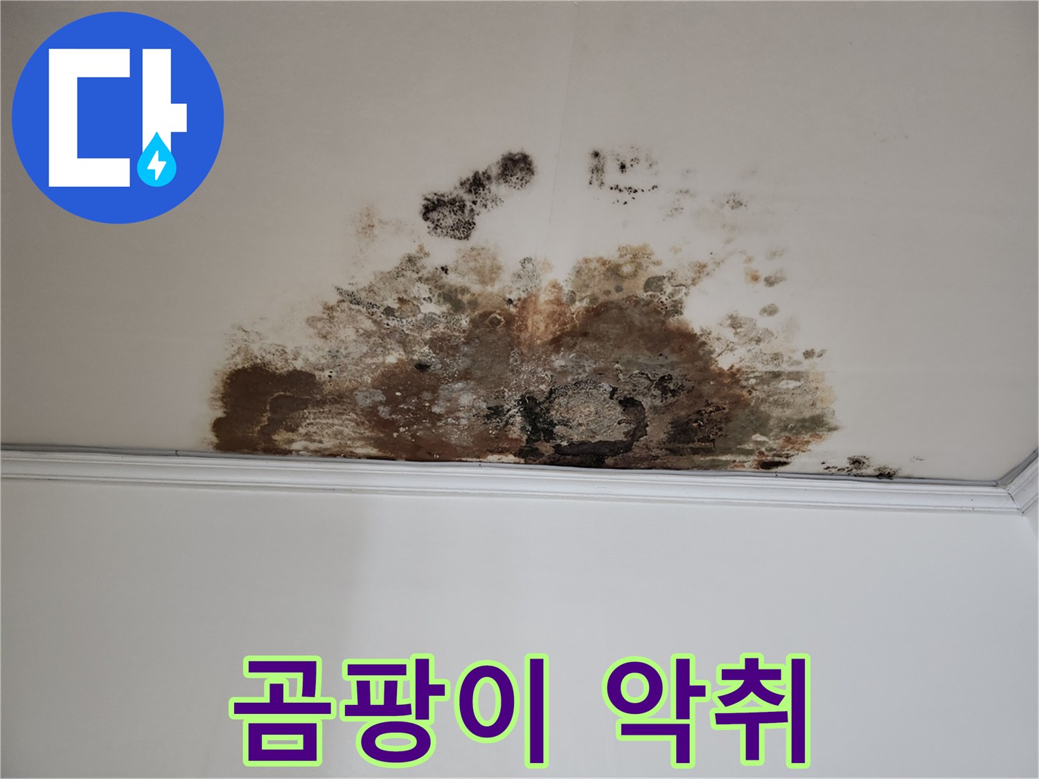 용강동 누수 - 곰팡이 악취 제거