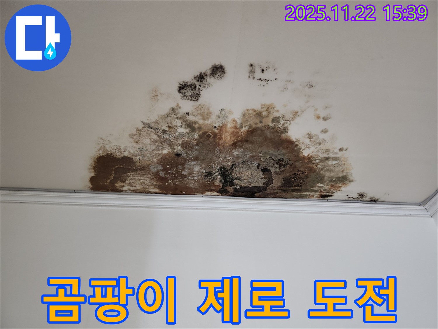 용강동 새창로8길 누수 - 곰팡이 제로 도전, 현대홈타운 깨끗한 집